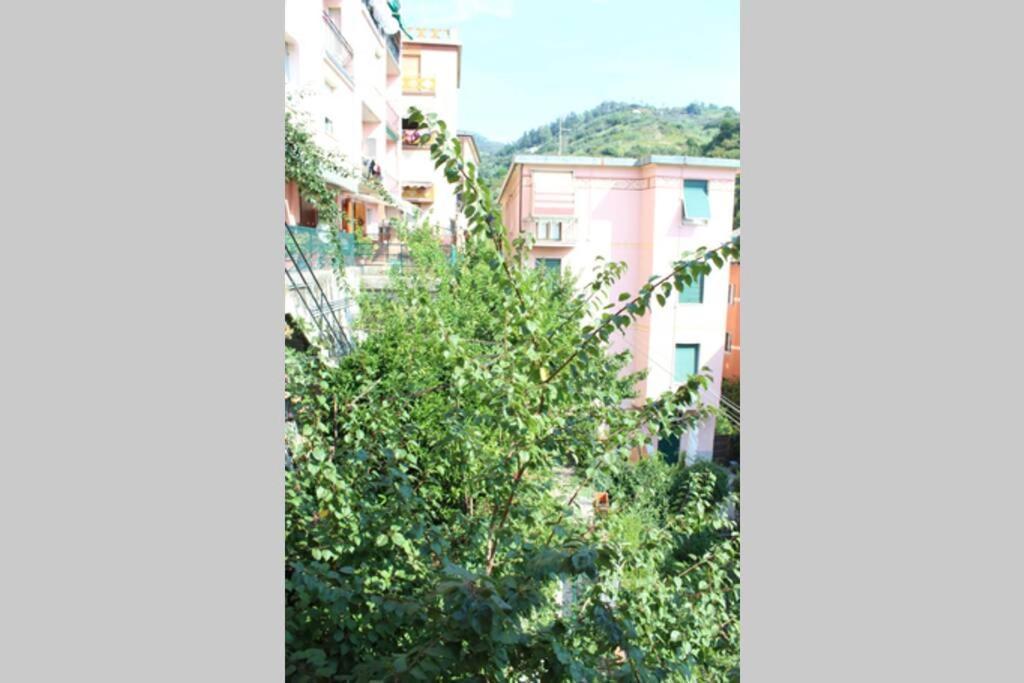 Ca Du Rocco - Citra 011019-Lt-0343 Apartment Monterosso al Mare Bagian luar foto